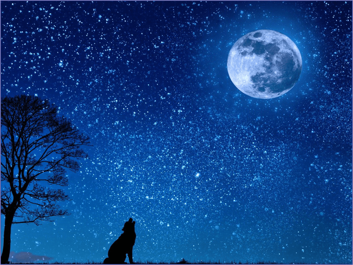 Melhores aplicativos para observar astros celestes